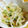 クックGWL3H8☆'s cooksnap of when they made 子供もできる超簡単！もやしの和風ナムル.