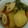 miyarobo's cooksnap of when they made 水菜とじゃがいものほっこり煮物.