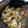 きゅうせいごてん's cooksnap of when they made つやもち♡鶏ごぼうの炊き込みご飯♡.
