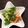 じょんた＊'s cooksnap of when they made オクラとベーコン炒め☆コショウだけ.