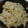 ヨシヨッシー's cooksnap of when they made 簡単☆ヒジキとワカメの炊き込みご飯☆.