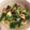 caruga's cooksnap of when they made 生しいたけと三つ葉の和え物.