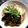 よこ耳ねこ's cooksnap of when they made 揚げ茄子のぶっかけうどん.