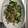 まゆまルイ's cooksnap of when they made もやしとニラのひき肉炒め.
