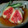 ガッキーパパ's cooksnap of when they made いちじくの揚げ出し.