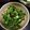 わーゃ's cooksnap of when they made 錆びない体へゴマ習慣＊オクラの胡麻和え.