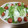Ery7's cooksnap of when they made 簡単すぎる♡水菜とトマトのサラダ♡.