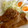 mipoyo's cooksnap of when they made 簡単＊生姜焼き.