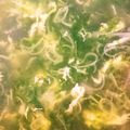 mirugohan9's cooksnap of when they made 生海苔の卵スープ.