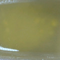 クックT7RBI9☆'s cooksnap of when they made 電子レンジで簡単☆鮮やか栗の水ようかん☆.