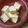 chako106HM's cooksnap of when they made 超簡単！　なんちゃって島豆腐.