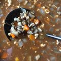 大阪のちゃーちゃん's cooksnap of when they made 市販のルーで牛蒡と鶏挽肉カレー.