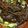 クックPX0BNC☆'s cooksnap of when they made もずくとオクラの中華風酢のもの.