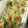 クックR034EU☆'s cooksnap of when they made ゴーヤ☆ウィンナ〜入りフライパンで天ぷら.