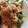 sachinchan's cooksnap of when they made はるさめの中華炒め.
