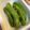 ぁねごん's cooksnap of when they made 超簡単！絶品スナップエンドウ炒め.