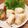 iriyuka's cooksnap of when they made れんこん挟み天with鶏ミンチ.