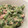 2みーちゃん's cooksnap of when they made 簡単☆ゴーヤとおくらのマヨサラダ.
