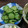 やんとエプロン☆'s cooksnap of when they made ごま油がイイ♪きゅうりのゴマ和え♪.