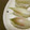 ともこキッチン's cooksnap of when they made みょうがのにぎり寿司.