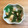 ぴょんあめ's cooksnap of when they made いんげんと油揚げの煮物.