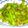 クック5F9KC8☆'s cooksnap of when they made タモさんのピーマンに近いお料理.