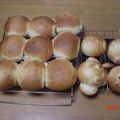 みーたん1428's cooksnap of when they made ふんわりあま～い♪ちぎりミルクパン★.