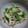 福はぶた猫's cooksnap of when they made 簡単5分 えのきとオクラの梅肉和え.