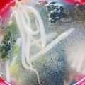 はな♡あや's cooksnap of when they made ダシダde白ねぎ＆もやし入りわかめスープ.