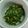 わんこたんわんたん's cooksnap of when they made 大根の葉の煮浸し.