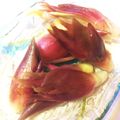 YUKO SUU's cooksnap of when they made 秋ミョウガどうする？取りあえず甘酢漬け！.
