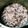 かわはぎﾛｰﾙ's cooksnap of when they made お赤飯＊＊圧力鍋で時短＆炊飯器まかせ♪.