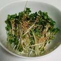 クックIEAB2D☆'s cooksnap of when they made つまみのかいわれ.