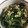 ちゃんすけくん's cooksnap of when they made 苦味が消える！ピーマンとワカメの鰹節炒め.