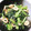 naomaman。's cooksnap of when they made ちくわと小松菜の黒すりごま炒め.
