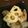 クックLJ2W4Q☆'s cooksnap of when they made すぐ出来！レンコンとこんにゃくのおかか煮.