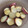 ひげちろ太郎's cooksnap of when they made さつまいも素揚げ.