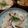 ☆kaoppe☆'s cooksnap of when they made 一足早く秋の味覚♪贅沢松茸ご飯.
