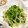 ぽぽきゅ's cooksnap of when they made 簡単節約☆豆苗とえのきのからし醤油和え☆.