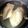 めりーがっつさぶ's cooksnap of when they made 鶏胸肉で簡単節約☆圧力鍋でしっとりゆで鶏.