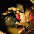 まつもつまつもつ's cooksnap of when they made 簡単！家庭でできる本格グリーンカレー♡.