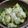 カメリア22's cooksnap of when they made アボカドチーズ焼き.