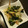 さぁ★たぁ★'s cooksnap of when they made きゅうりとわかめのポン酢和え　茗荷風味.