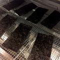 ☆はるメロ☆'s cooksnap of when they made しけた海苔復活！.