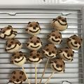クックF4EUH2☆'s cooksnap of when they made 鈴カステラ de カワウソに変身！.