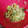 ✨あいり✨'s cooksnap of when they made ✿アボカドの切り方★簡単✿.