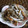 ayureo's cooksnap of when they made ☆ごぼうの黒ｺﾞﾏｻﾗﾀﾞ☆.
