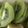 すずまろママ's cooksnap of when they made 切って置いとくだけで！甘いキウイ.