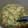 くむちん's cooksnap of when they made とろとろ中華風玉子スープ.