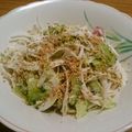 初レポまにあ's cooksnap of when they made ゴーヤの鮭マヨサラダ.